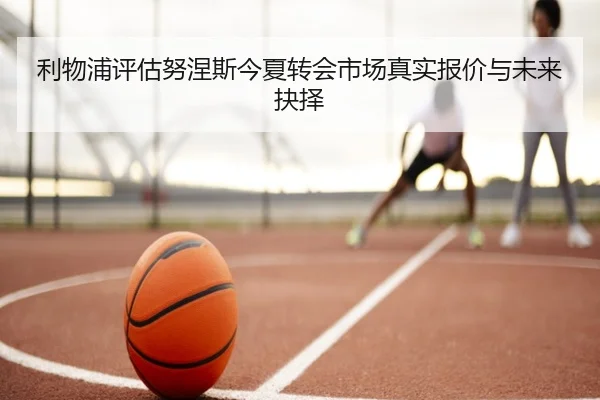 利物浦评估努涅斯今夏转会市场真实报价与未来抉择