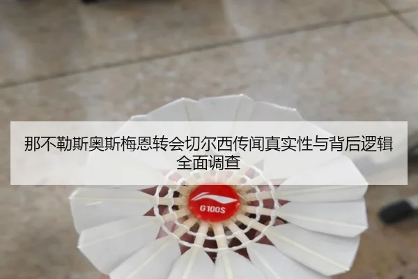 那不勒斯奥斯梅恩转会切尔西传闻真实性与背后逻辑全面调查